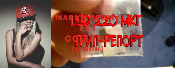 дмт Киреевск