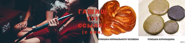 ГАЛЛЮЦИНОГЕННЫЕ ГРИБЫ Белая Холуница