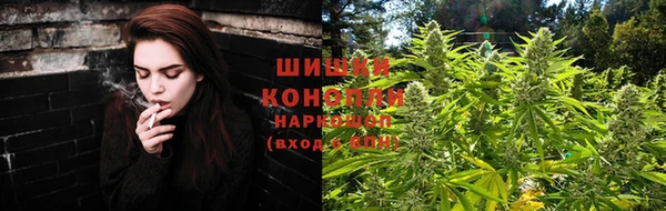 дмт Киреевск