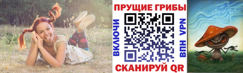 Галлюциногенные грибы мицелий  купить  цена  Красноперекопск 